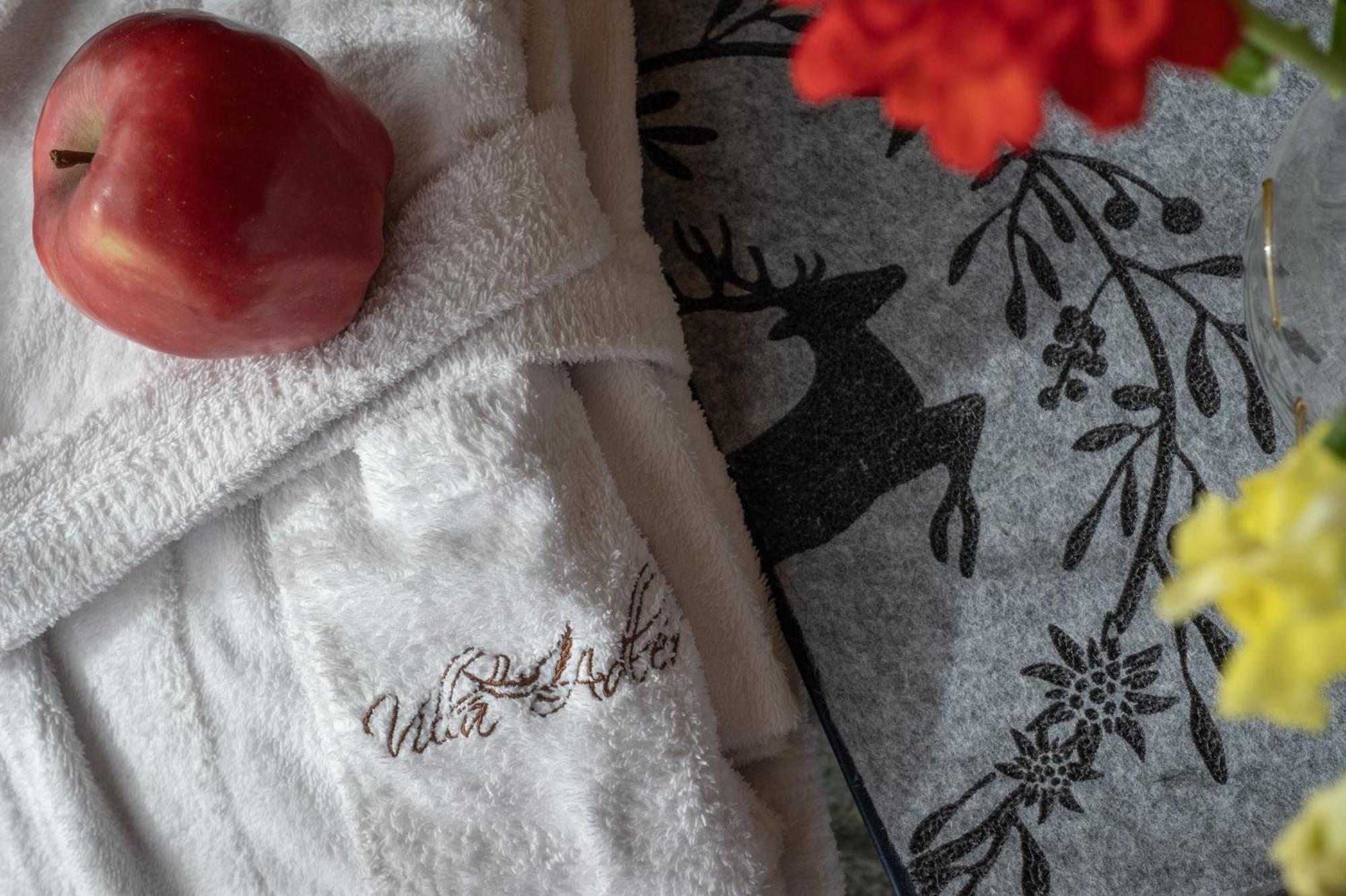 Apartahotel Alpine Adler