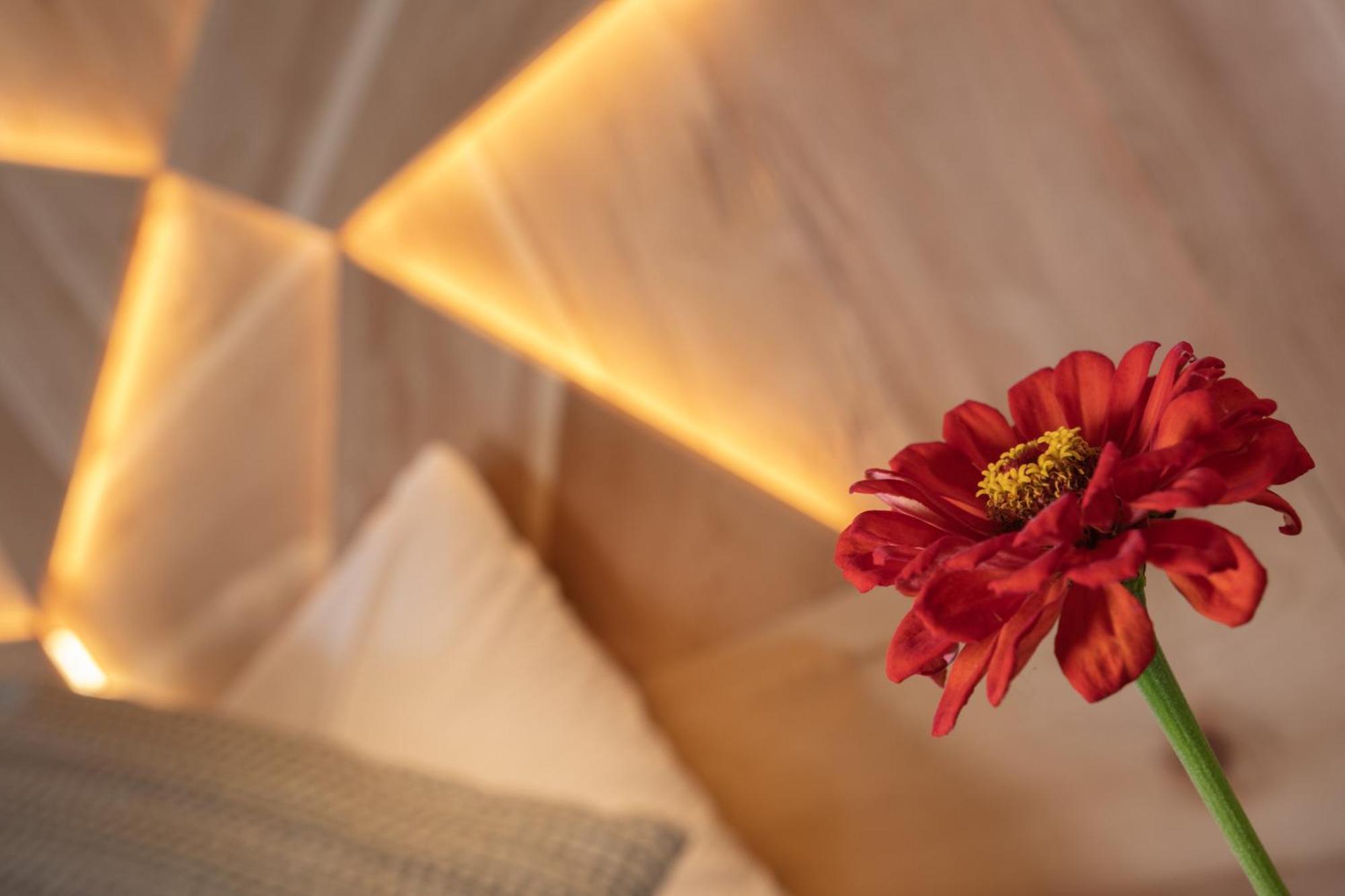 Apartahotel Alpine Adler 3*